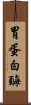 胃蛋白酶 Scroll