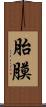 胎膜 Scroll