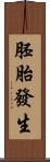 胚胎發生 Scroll