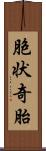 胞状奇胎 Scroll