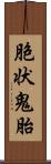 胞状鬼胎 Scroll