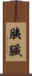 胰臟 Scroll