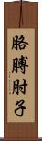 胳膊肘子 Scroll