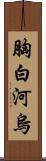 胸白河烏 Scroll