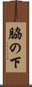 脇の下 Scroll