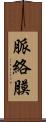 脈絡膜 Scroll