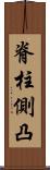 脊柱側凸 Scroll