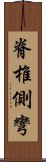 脊椎側彎 Scroll