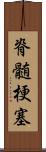 脊髄梗塞 Scroll