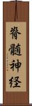 脊髄神経 Scroll