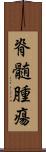 脊髄腫瘍 Scroll