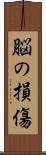 脳の損傷 Scroll