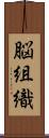 脳組織 Scroll