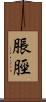 脹脛 Scroll
