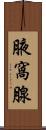 腋窩腺 Scroll