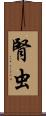 腎虫 Scroll