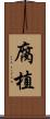 腐植 Scroll