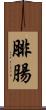 腓腸 Scroll