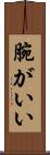 腕がいい Scroll