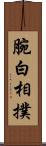 腕白相撲 Scroll