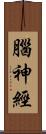 腦神經 Scroll