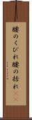 腰のくびれ Scroll