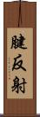 腱反射 Scroll