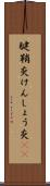 腱鞘炎 Scroll