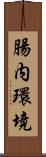腸内環境 Scroll