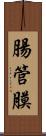 腸管膜 Scroll
