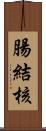 腸結核 Scroll