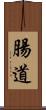 腸道 Scroll
