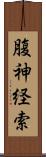 腹神経索 Scroll