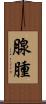 腺腫 Scroll