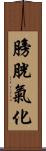 膀胱氣化 Scroll