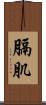 膈肌 Scroll