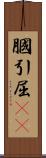 膕 Scroll