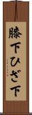 膝下 Scroll