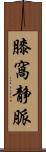 膝窩静脈 Scroll
