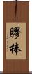 膠棒 Scroll