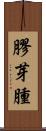 膠芽腫 Scroll
