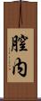膣内 Scroll