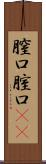 膣口 Scroll