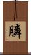 膦 Scroll