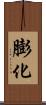 膨化 Scroll