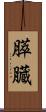 膵臓 Scroll