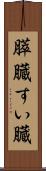 膵臓 Scroll