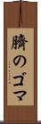臍のゴマ Scroll