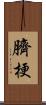 臍梗 Scroll
