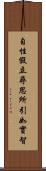自性假立尋思所引如實智 Scroll